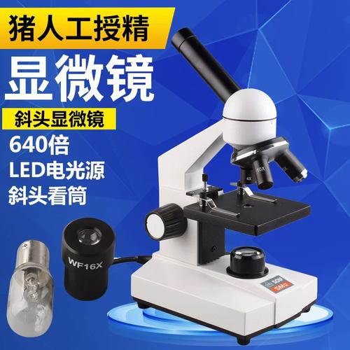 猪人工授精专用显微镜 640倍LED电光源斜头显微镜的专业解析