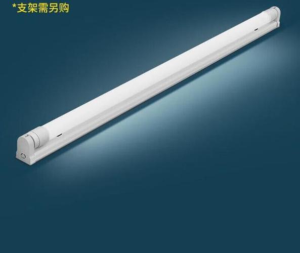 始于1958 广东电光源龙头企业的創新之路